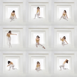 PIAS AMERICA Foxes - The Kick [CD]