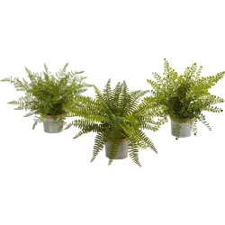 NEARLY NATURAL 14" Assorted Ferns With Planter Artificial Plant (Set Of 3) In Green/gray