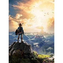 The Legend of Zelda: Breath of The Wild Puzzle - 1000 Pieces