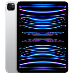TELUS Apple iPad Pro 11" 128GB with Wi-Fi & 5G (4th Generation) - Space Grey - Monthly Financing