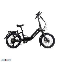 DEMON ELECTRIC Rebel 250W 20-In Foldable Electric Bike, 40-50Km Battery Range, Tektro Mechanical Brakes, Low Profile, Cargo Rack In Black