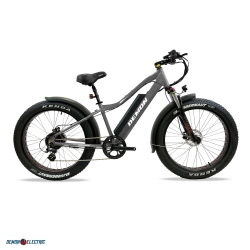 DEMON ELECTRIC Thunderbolt Sl 500W 26-In Fat-Tire Electric Bike, 50-60Km Battery Range, Front Suspension, Tektro Hydraulic Brakes, Shimano 7 Speed