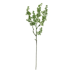 CC HOME FURNISHINGS 27" Artificial Long Stem Weeping Seed 5 Tip Branch Spray In Green