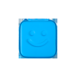 BLUETENS Carrying Case for Classic And Accessories