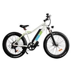 ELECTRIFIED MOBILE Em-Mountain Ebike – Strong But Simple Ridged Frame, Powerful 500-Watt Bafang Rear Hub Motor And Premium Components Including
