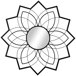 HOMCOM 31" X 31" Modern Flower Wall Mirror, Decorative Mirror for Living Room, Bedroom, Entryway, Home Decor In Black