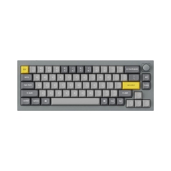 KEYCHRON Q2 RGB Hotswap Mechanical Gaming Keyboard – 65% Layout, Gateron Pro Switches With Knob – Compatible With Windows & Macos, Grey (Q2-N2)