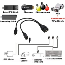 GENERIC USB Port Adapter, Micro Otg Cable And Power - Compatible With Firesticks, Streaming Media Devices, Rii
