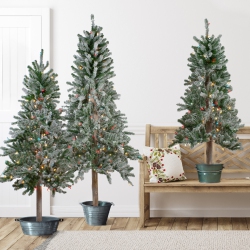NORTHLIGHT Pre-Lit Slim Flocked Alpine Artificial Christmas Trees - 5' - Multi Lights - Set Of 3