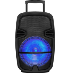 DIGITAL SUNFLAH Digital Sunflash Sf-1516 15" Bluetooth Speaker