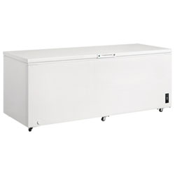 Frigidaire 24.8 Cu. Ft. Chest Freezer (FFCL2542AW)