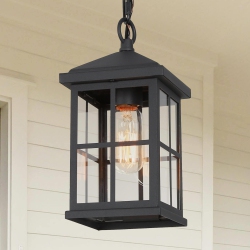LNC 1-Light Outdoor Hanging Pendant With Glass Shade In Black