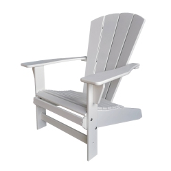 BEAVERSPRINGS Sunbreeze Traditional Adirondack/muskoka Chair HDpe Resin