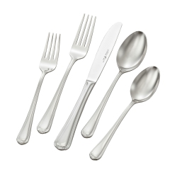 HENCKELS Alcea 20 Piece Flatware Set Polished