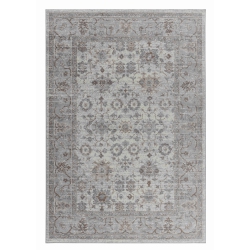 RUG BRANCH Sakarya Distressed Traditional Indoor Area Rug