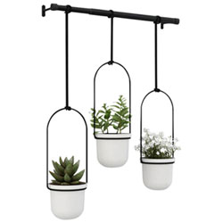 Triflora Modern Hanging Planter - White