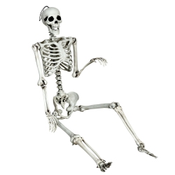 GYMAX Full Body Halloween Skeleton 5.4Ft Life Size W/ Hanging Rope Movable Joints