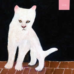 NUMERO Duster - Duster [Compact Discs]