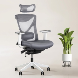 EFFYDESK Kaichair Heavy-Duty Executive Home Office Chair Ergonomic Desk Chair With Lumbar Support 4D Armrest (Arctic White)