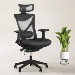 EFFYDESK Kaichair Heavy-Duty Executive Home Office Chair Ergonomic Desk Chair With Lumbar Support 4D Armrest (Obsidian Black)