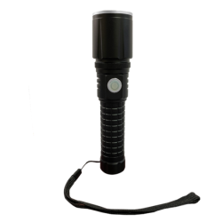 GO GREEN Go Gg-Zoomie2 Zoomie 2.0Rechargeable Flashlight