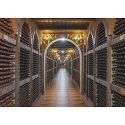 PRESTIGE Pz1000 Cellar