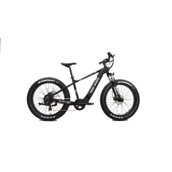 Anaconda electric bike sale