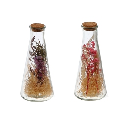 MAISON CONCEPTS Dried Floral Arrangement In Glass Triangular Tube Asstd - Set Of 2