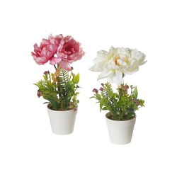 MAISON CONCEPTS Artificial Peony In Plastic Pot Asstd - Set Of 2
