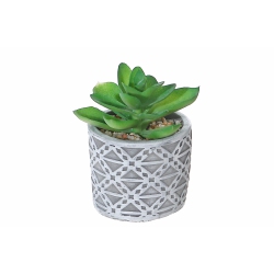 MAISON CONCEPTS Artificial Succulent In Round Cement Pot Asstd - Set Of 2