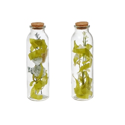 MAISON CONCEPTS Dried Floral Arrangement In Glass Tube Asstd - Set Of 2