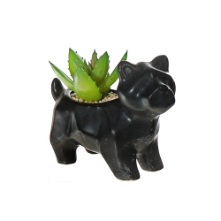 MAISON CONCEPTS Ceramic Dog With Artificial Succulent Asstd - Set Of 2 In Black