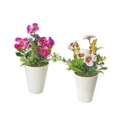 MAISON CONCEPTS Artificial Pansy In Plastic Pot Asstd - Set Of 2