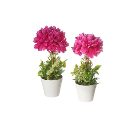 MAISON CONCEPTS Artificial Chrysanthemum In Plastic Pot Asstd - Set Of 2