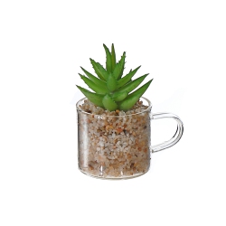 MAISON CONCEPTS Artificial Succulent In Glass Cup Asstd - Set Of 2