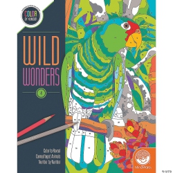 MINDWARE - Cbn Wild Wonders - Book 4