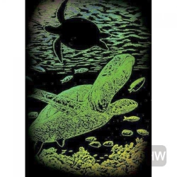 ROYAL BRUSH Royal & Langnickel(R) Rainbow Foil Engraving Art Kit 5"x7"-Undersea Turtle