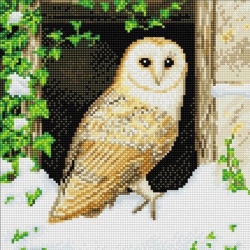 CRYSTAL ART - Ca Kit (Medium) - Snowy Owl
