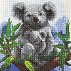 CRYSTAL ART - Ca Kit (Medium) - Cuddly Koalas