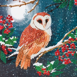 CRYSTAL ART - Ca Card - Barn Owl