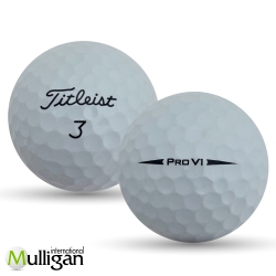 MULLIGAN GOLF BALLS 48 Titleist Pro V1 2018 5A Recycled Used Golf Balls In White