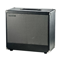 TRAYNOR Darkhorse Series 1X12 Guitar Extension Cabinet -25 Watts