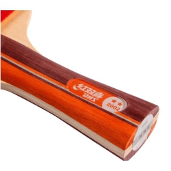 DHS T2002 Shakehand (Fl) Racket Set