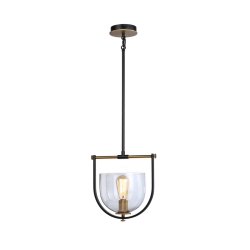 ARTCRAFT LIGHTING Cheshire Collection 1-Light Pendant & Brass In Black