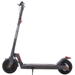 GOTRAX Xr Elite Pro (Gray) Adult E-Scooter By - 10" Pneumatic Tires, 300W Motor, 25 Km/h Top Speed, 30Km Range, 5 Hr Charge Time, Cruise Control