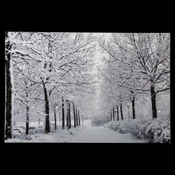 NORTHLIGHT Fiber Optic Lighted Winter Lane Christmas Canvas Wall Art - 23.5" X 15.75