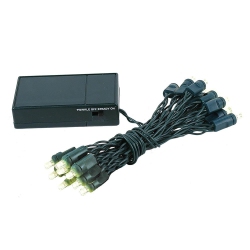 NOVELTY LIGHTS LLC Novelty Lights 20 Light Battery Operated Led Christmas Mini Light Set Wire, 8' Long In Green