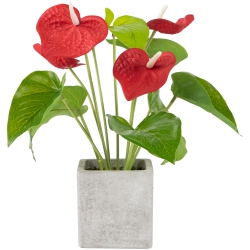 NORTHLIGHT Anthurium Spring Floral Artificial Plant In A Square Pot - 12" - In Red