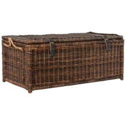 HAPPIMESS Caden Wicker Storage Trunk