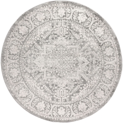 JONATHAN Y Modern Persian Vintage Medallion Area Rug